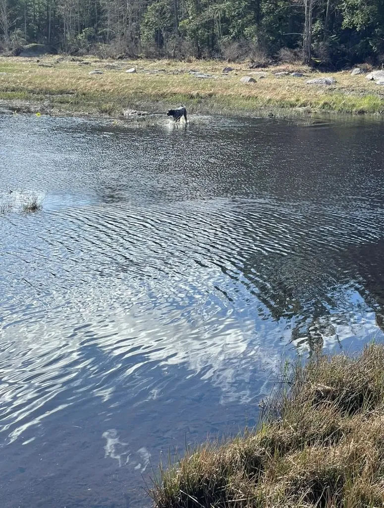 332 Gleason Falls Road Hillsborough NH 03244