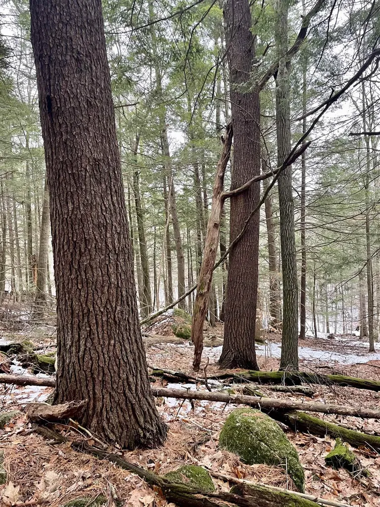 332 Gleason Falls Road Hillsborough NH 03244