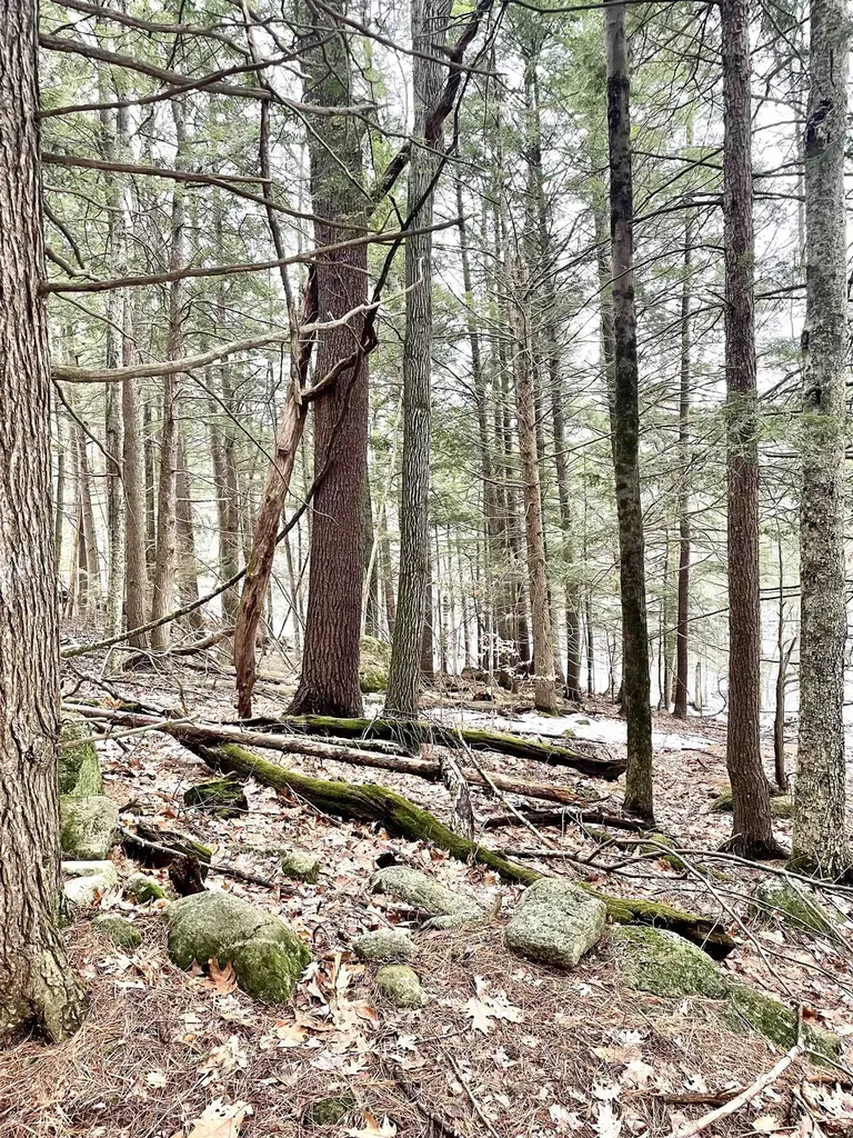 332 Gleason Falls Road Hillsborough NH 03244