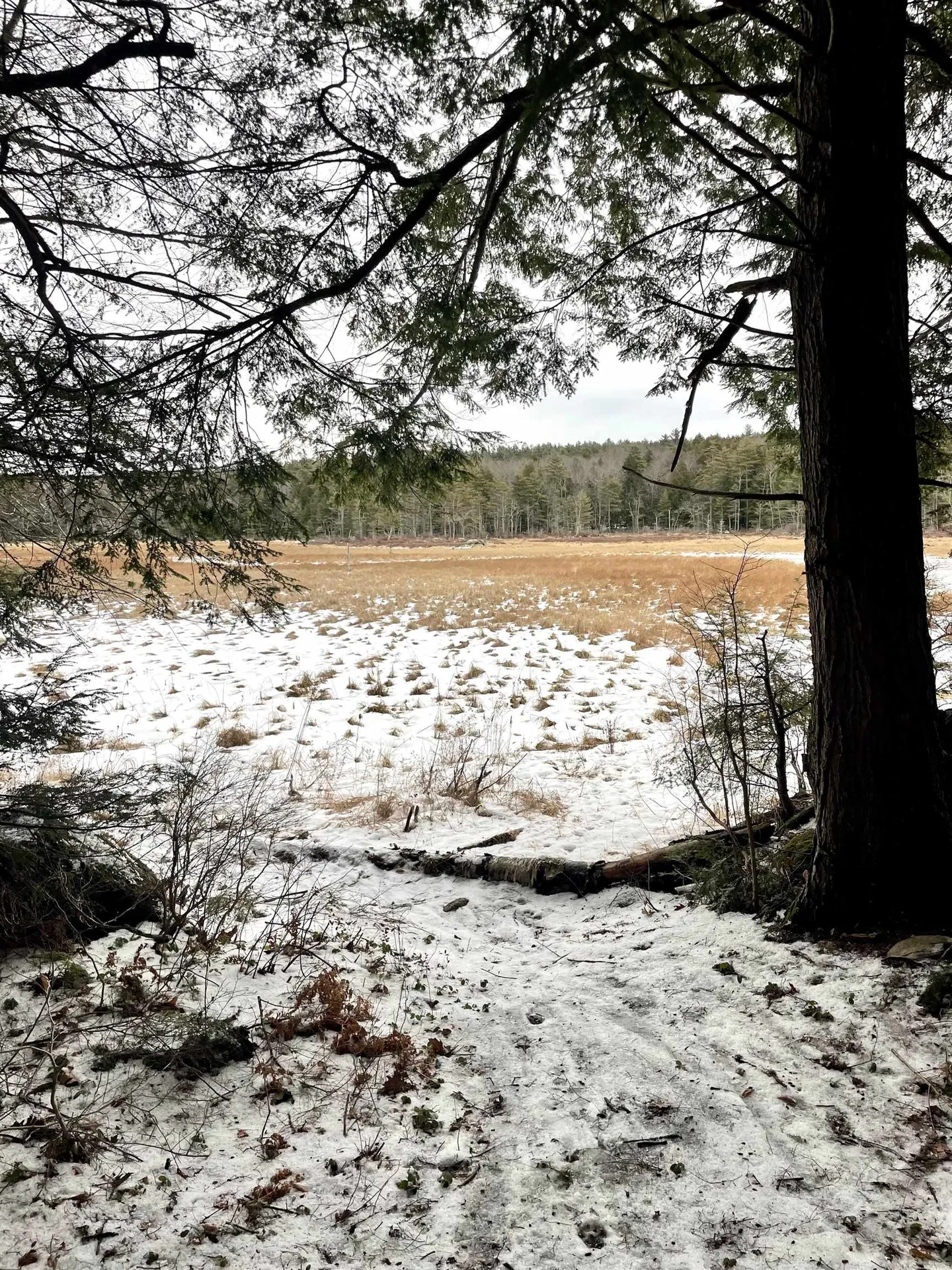 332 Gleason Falls Road Hillsborough NH 03244