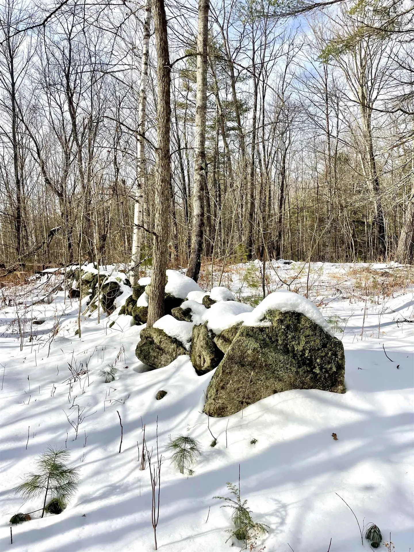 332 Gleason Falls Road Hillsborough NH 03244