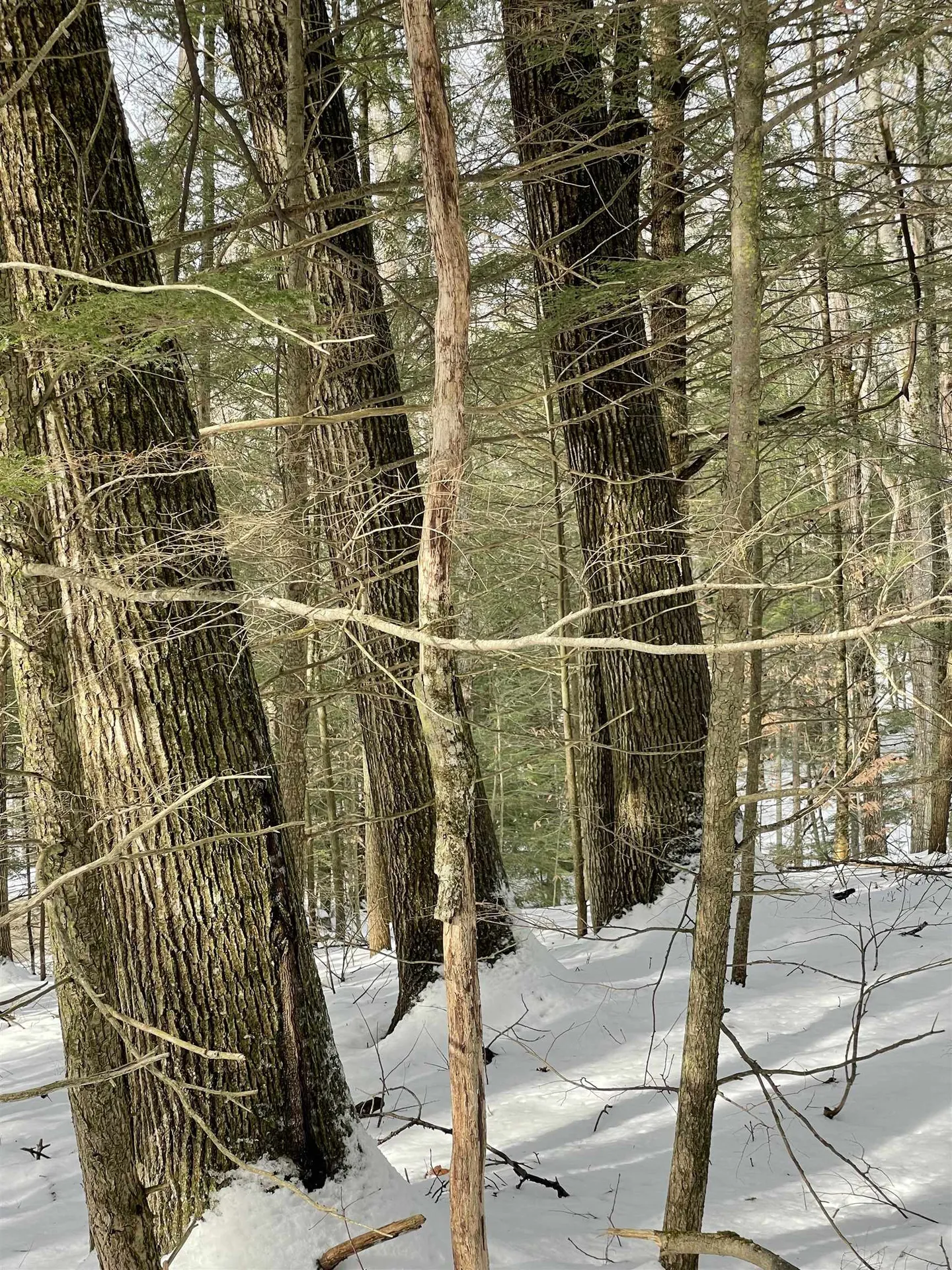 332 Gleason Falls Road Hillsborough NH 03244