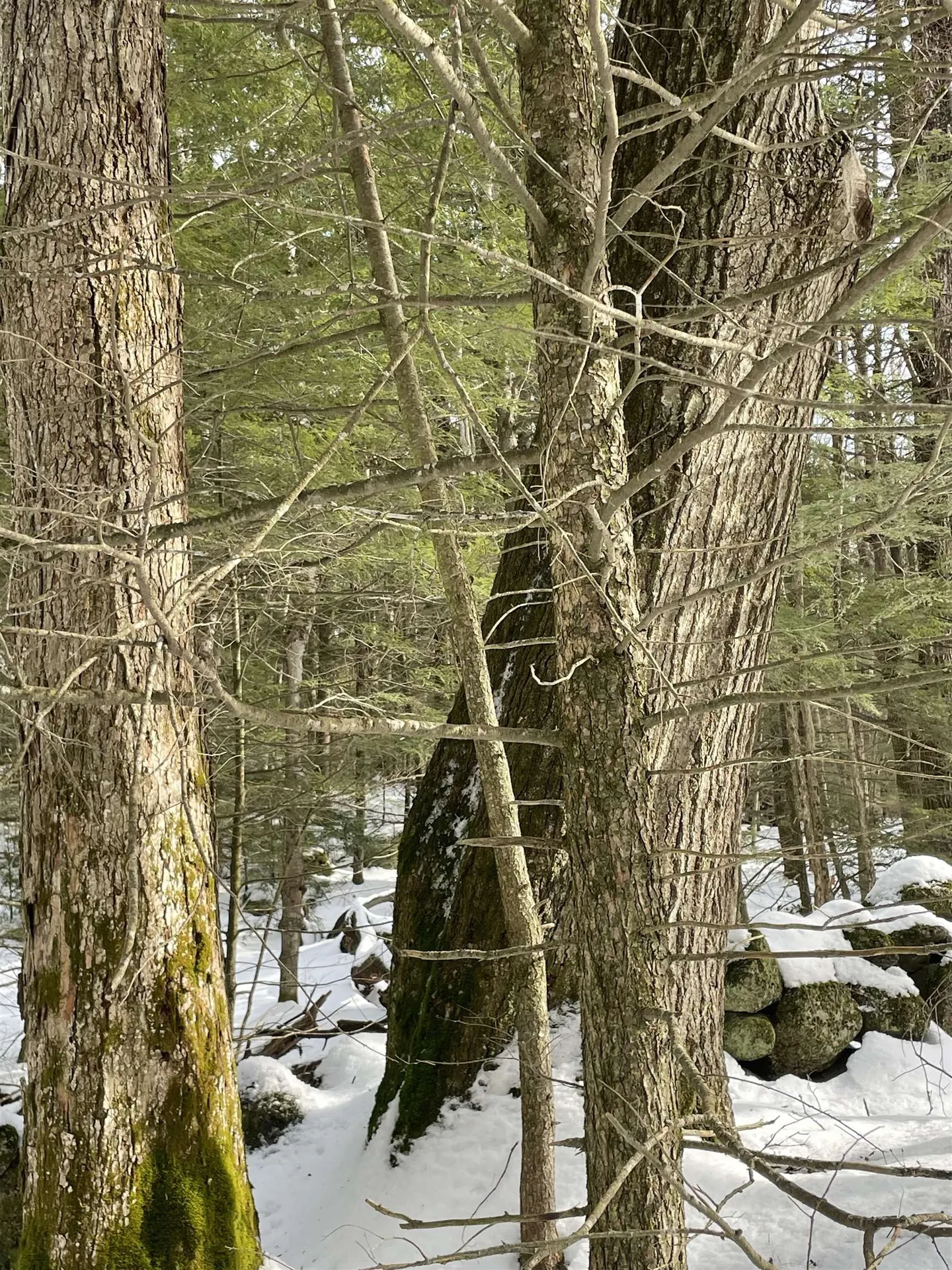 332 Gleason Falls Road Hillsborough NH 03244