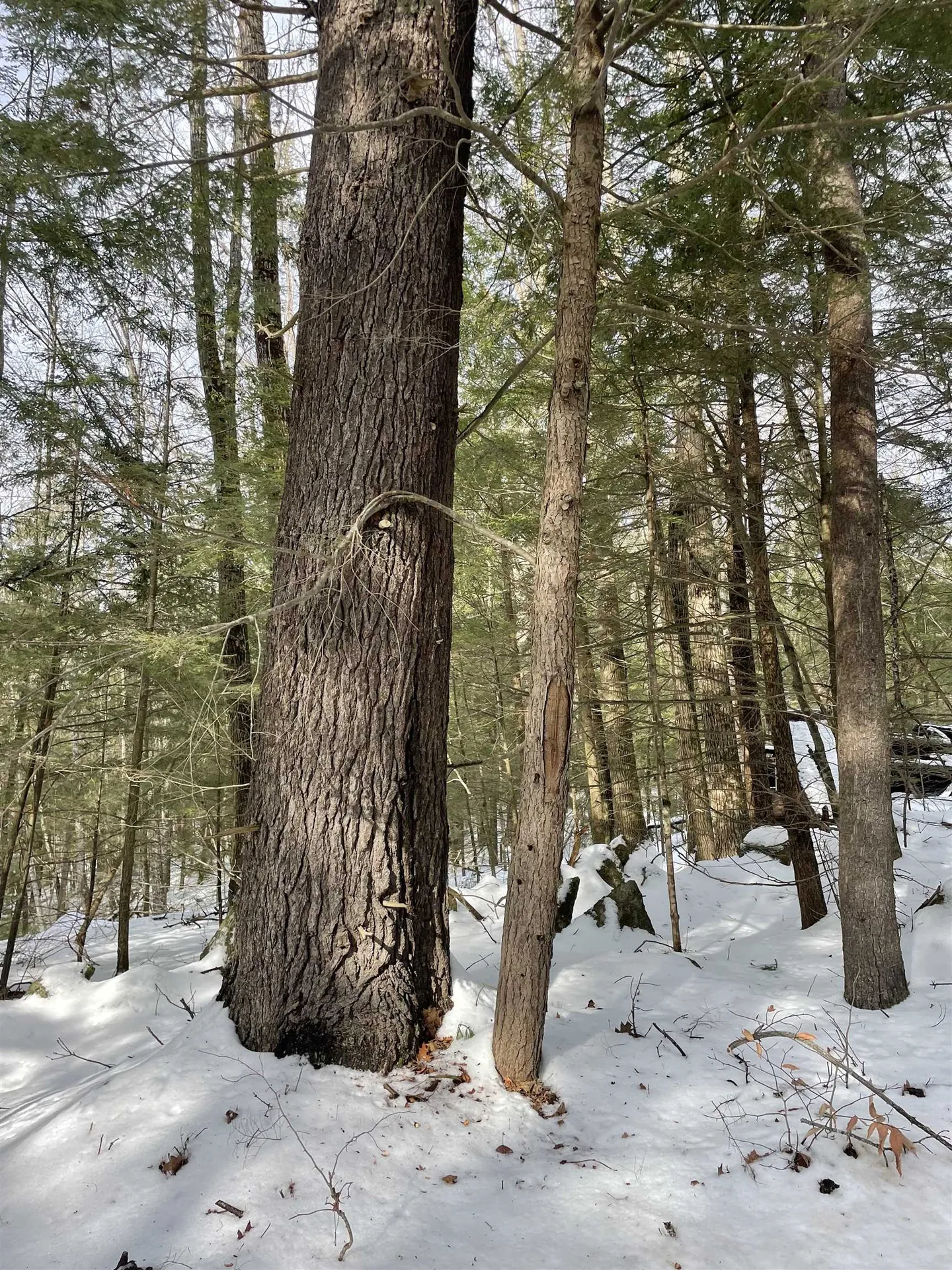 332 Gleason Falls Road Hillsborough NH 03244