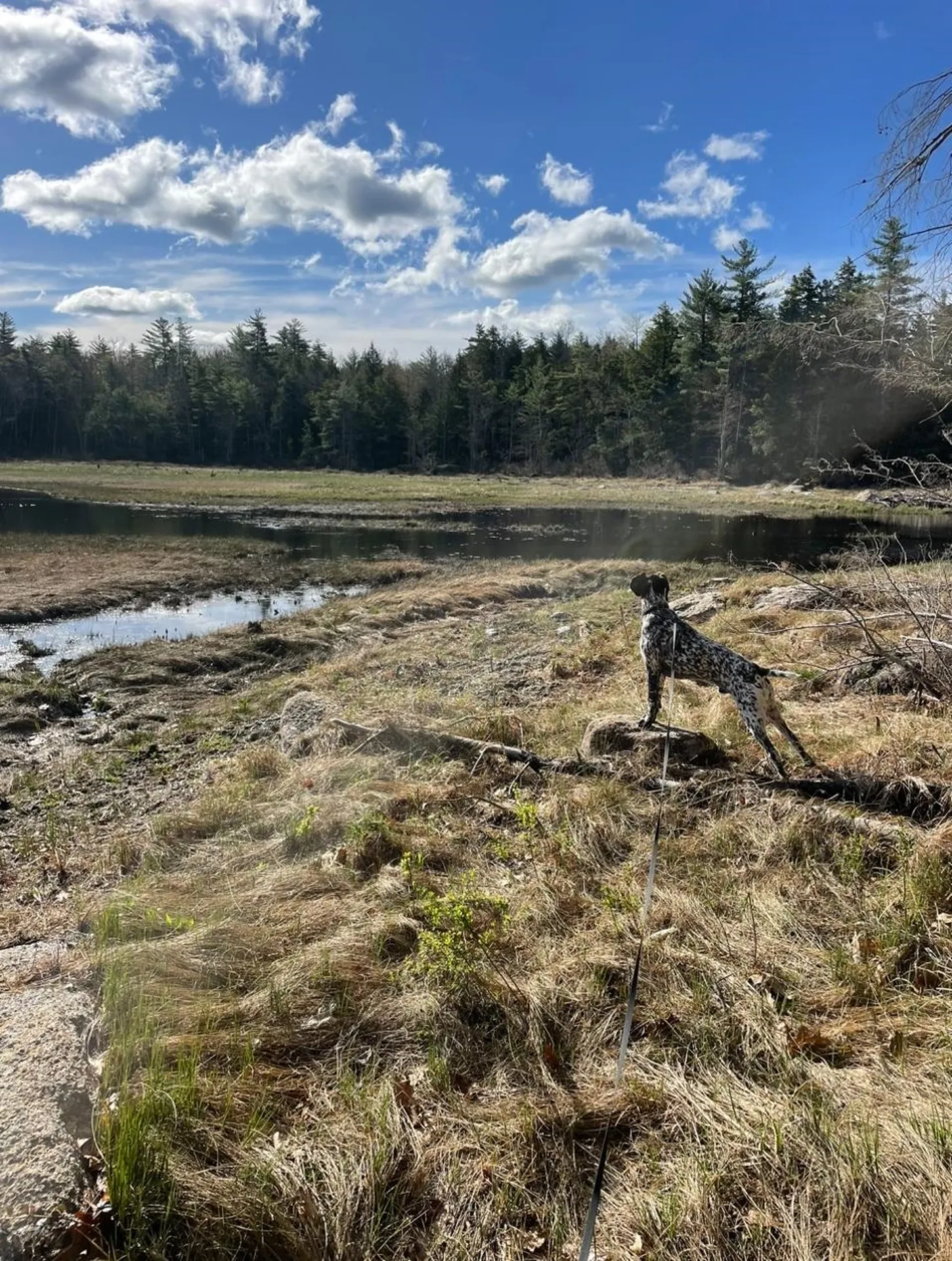 332 Gleason Falls Road Hillsborough NH 03244