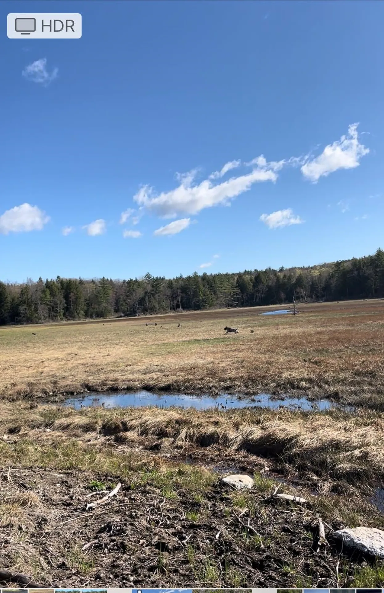 332 Gleason Falls Road Hillsborough NH 03244