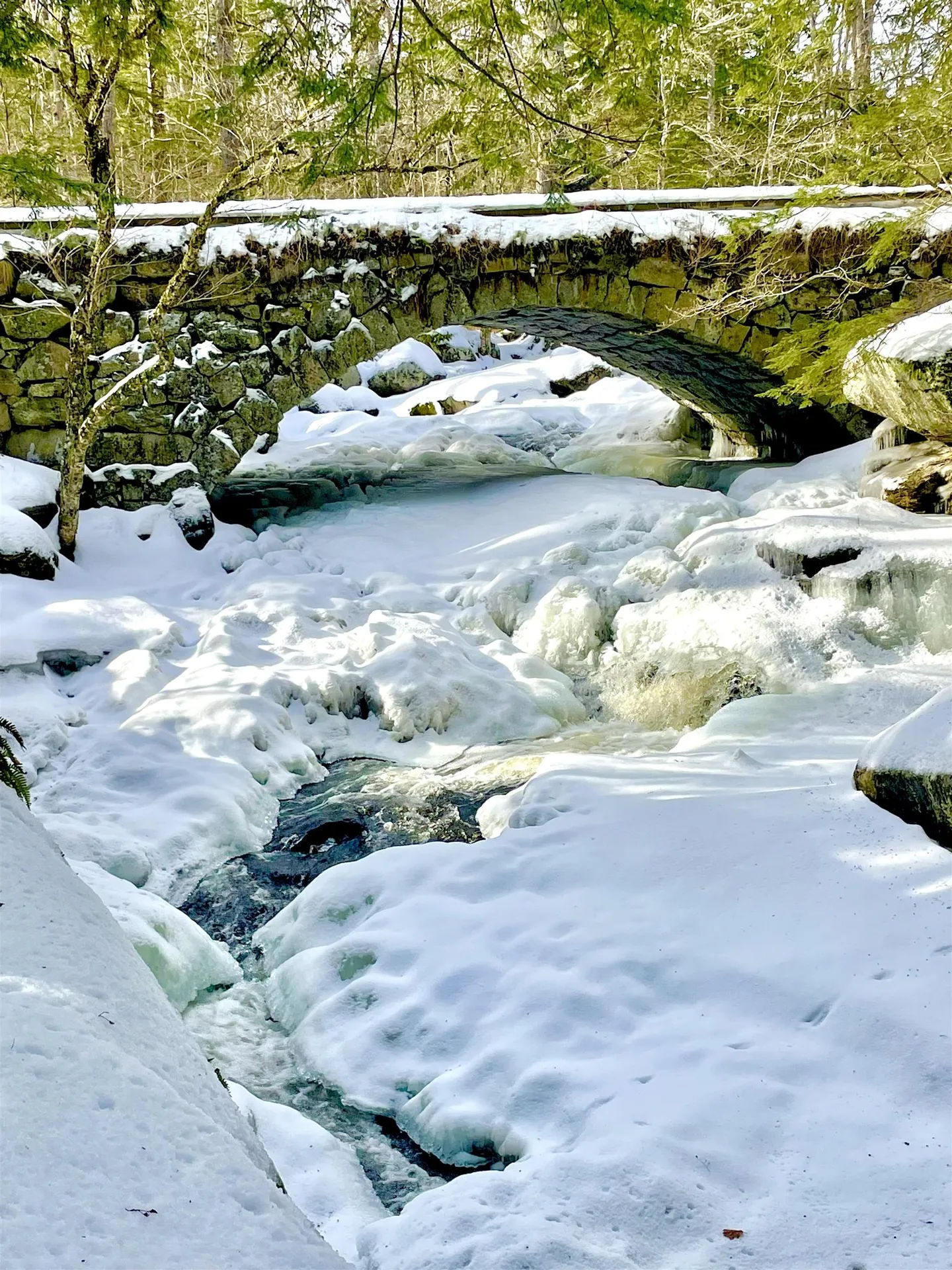 332 Gleason Falls Road Hillsborough NH 03244