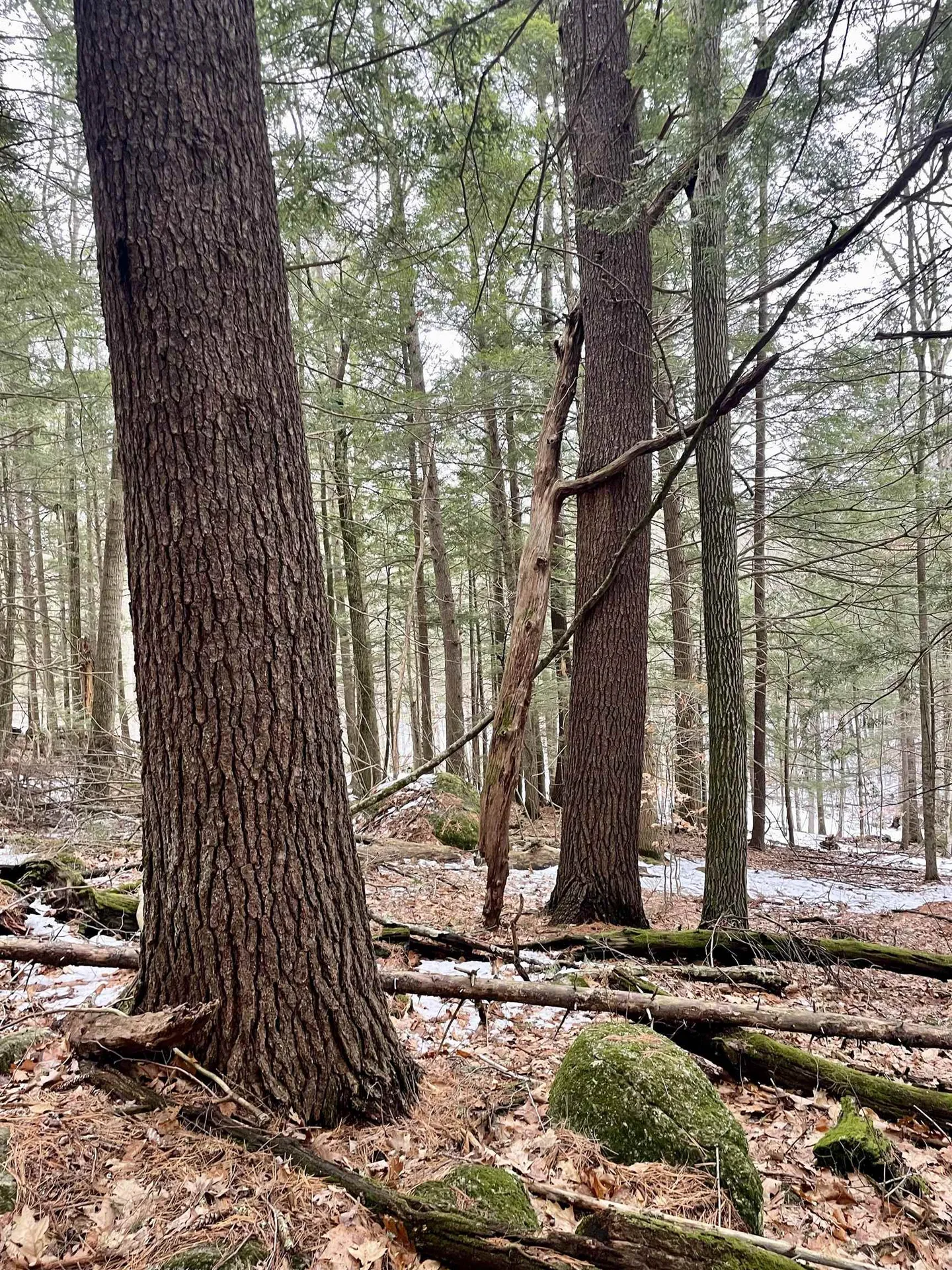 332 Gleason Falls Road Hillsborough NH 03244