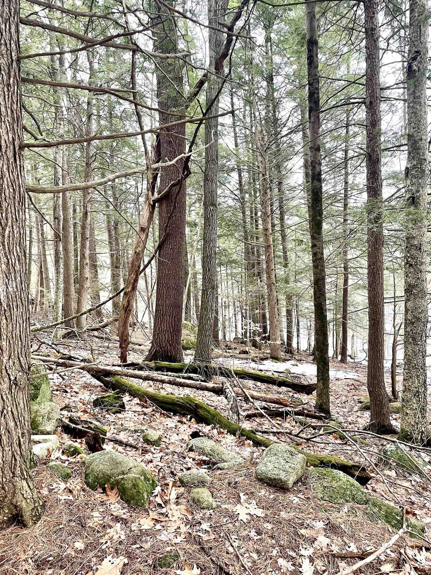 332 Gleason Falls Road Hillsborough NH 03244