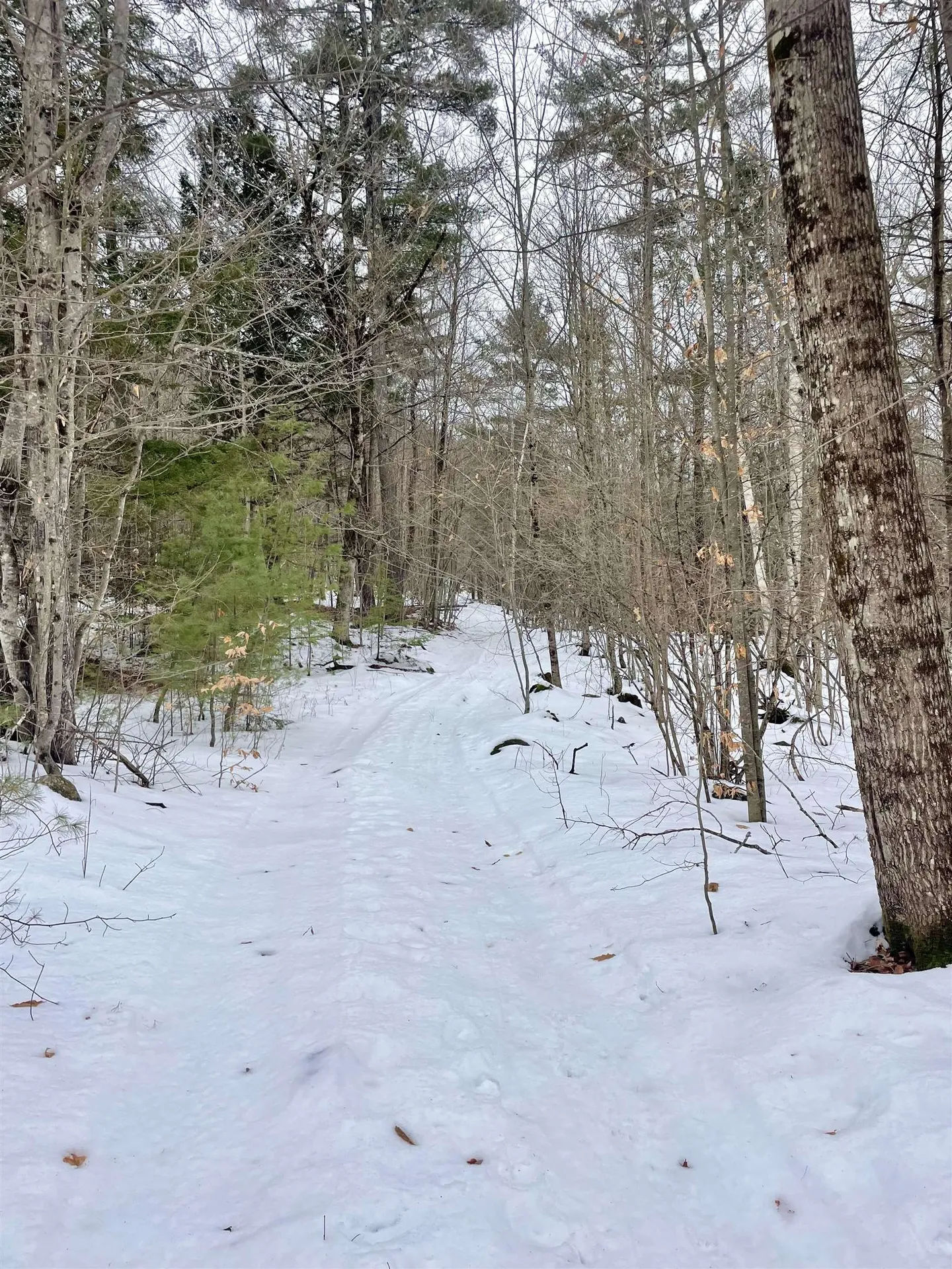 332 Gleason Falls Road Hillsborough NH 03244