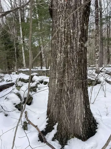 332 Gleason Falls Road Hillsborough NH 03244