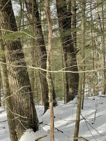 332 Gleason Falls Road Hillsborough NH 03244