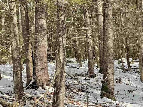 332 Gleason Falls Road Hillsborough NH 03244