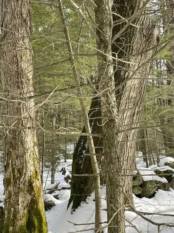 332 Gleason Falls Road Hillsborough NH 03244