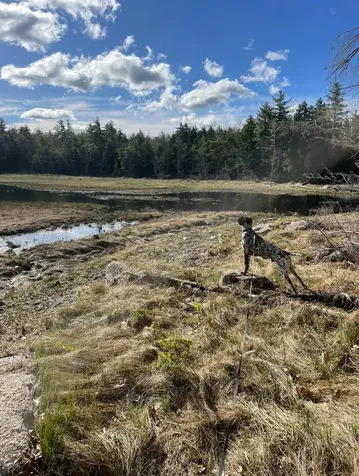 332 Gleason Falls Road Hillsborough NH 03244