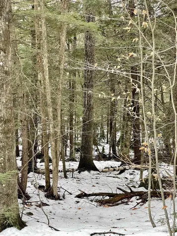 332 Gleason Falls Road Hillsborough NH 03244