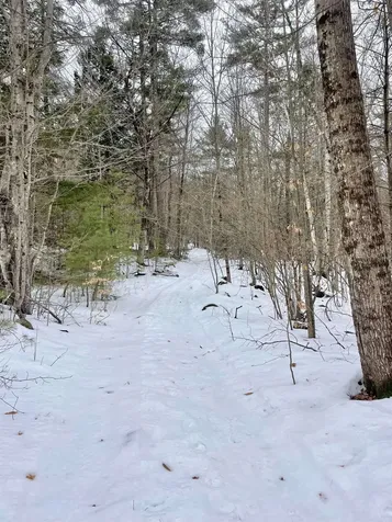 332 Gleason Falls Road Hillsborough NH 03244