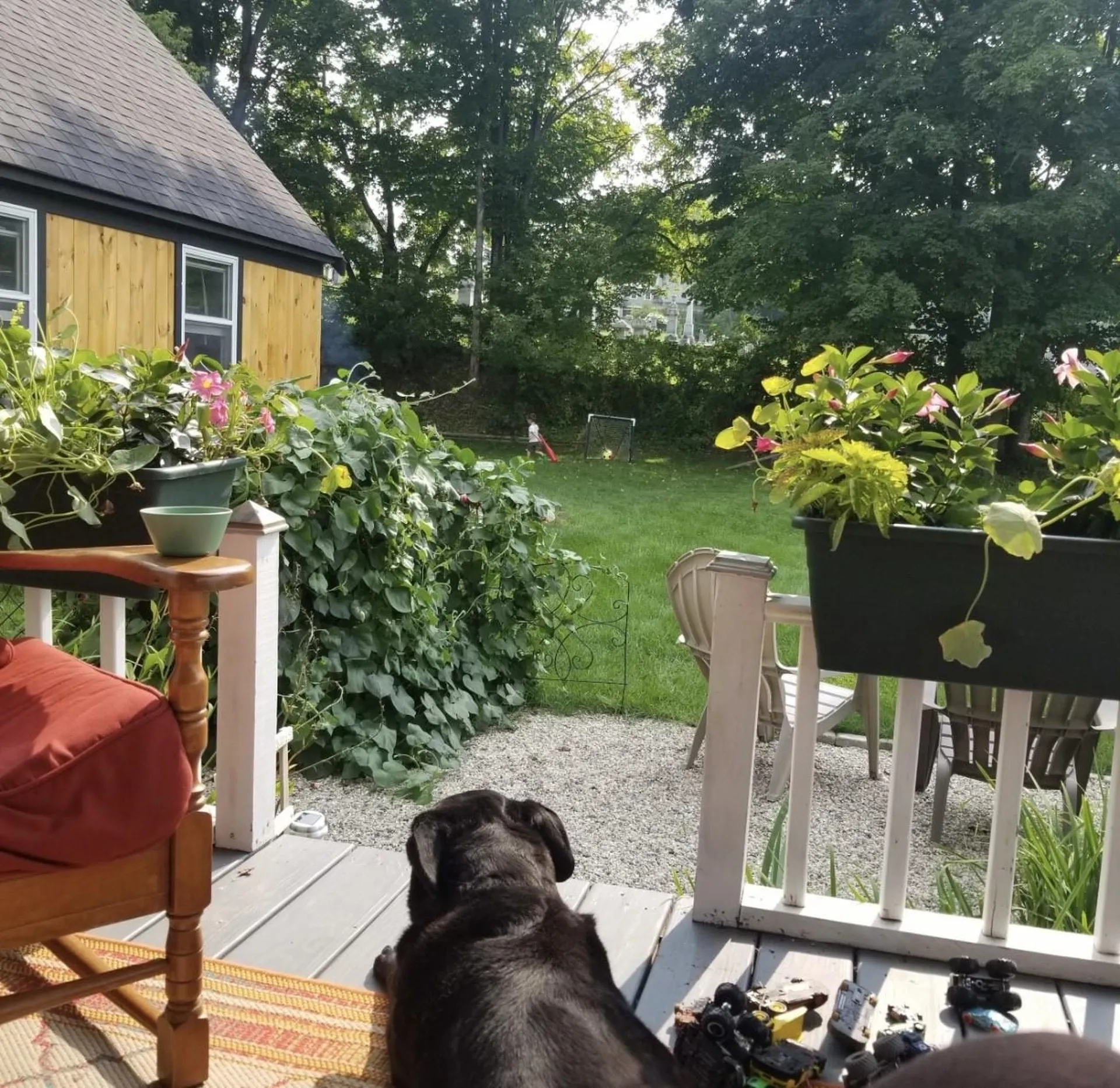 28 Upper Cherry Street Hardwick VT 05843