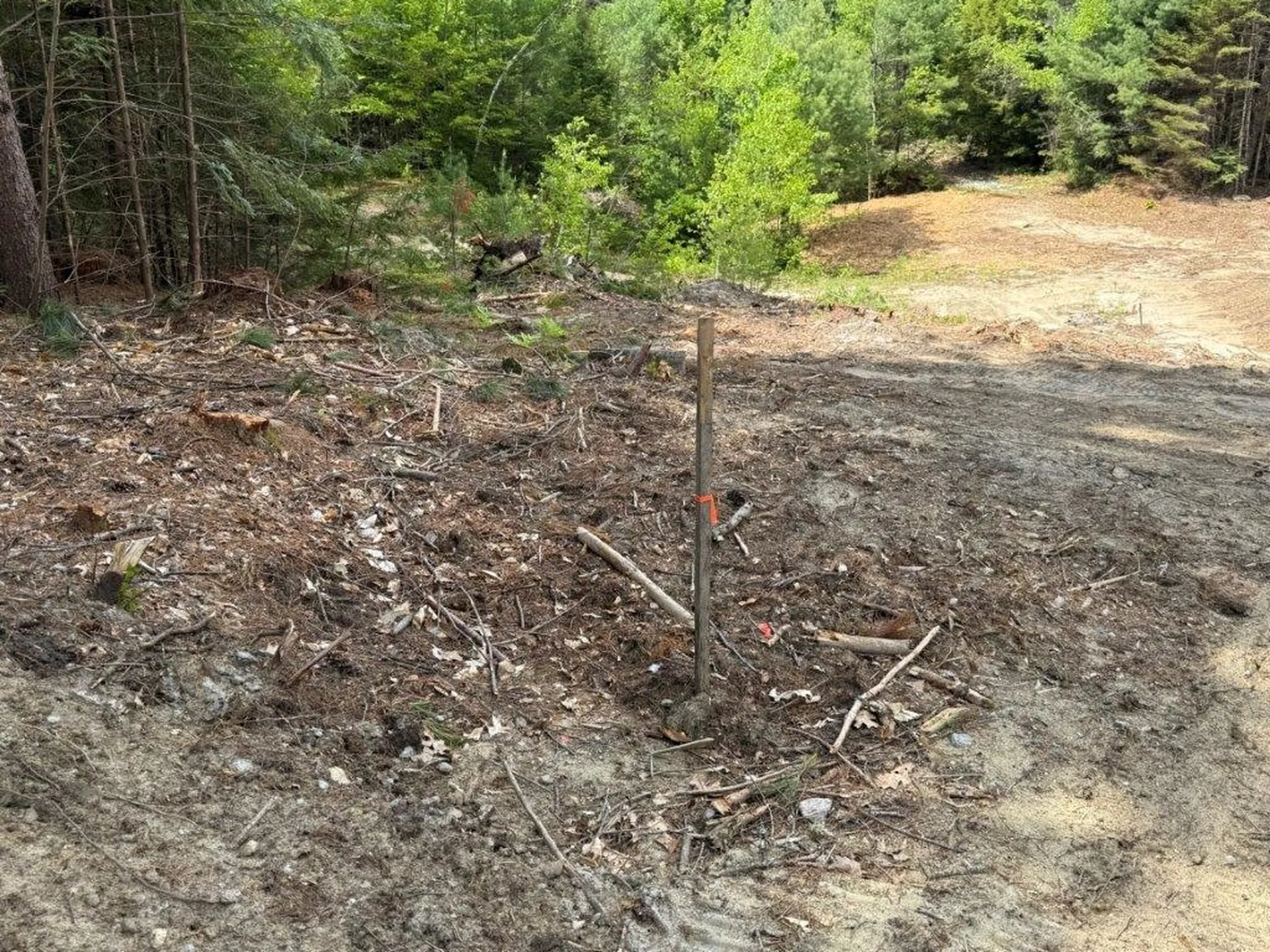 Highland Avenue Canaan NH 03741