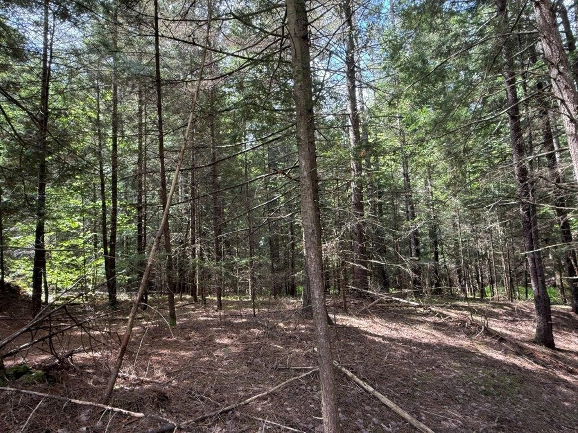 Highland Avenue Canaan NH 03741