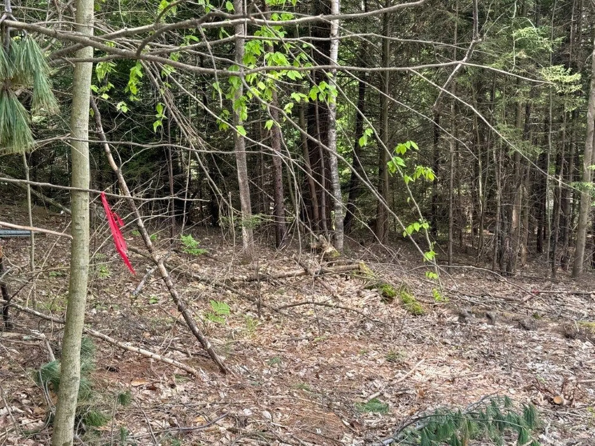 Highland Avenue Canaan NH 03741