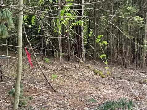 Highland Avenue Canaan NH 03741