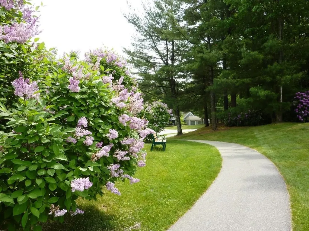 4 Heather Court Nashua NH 03062