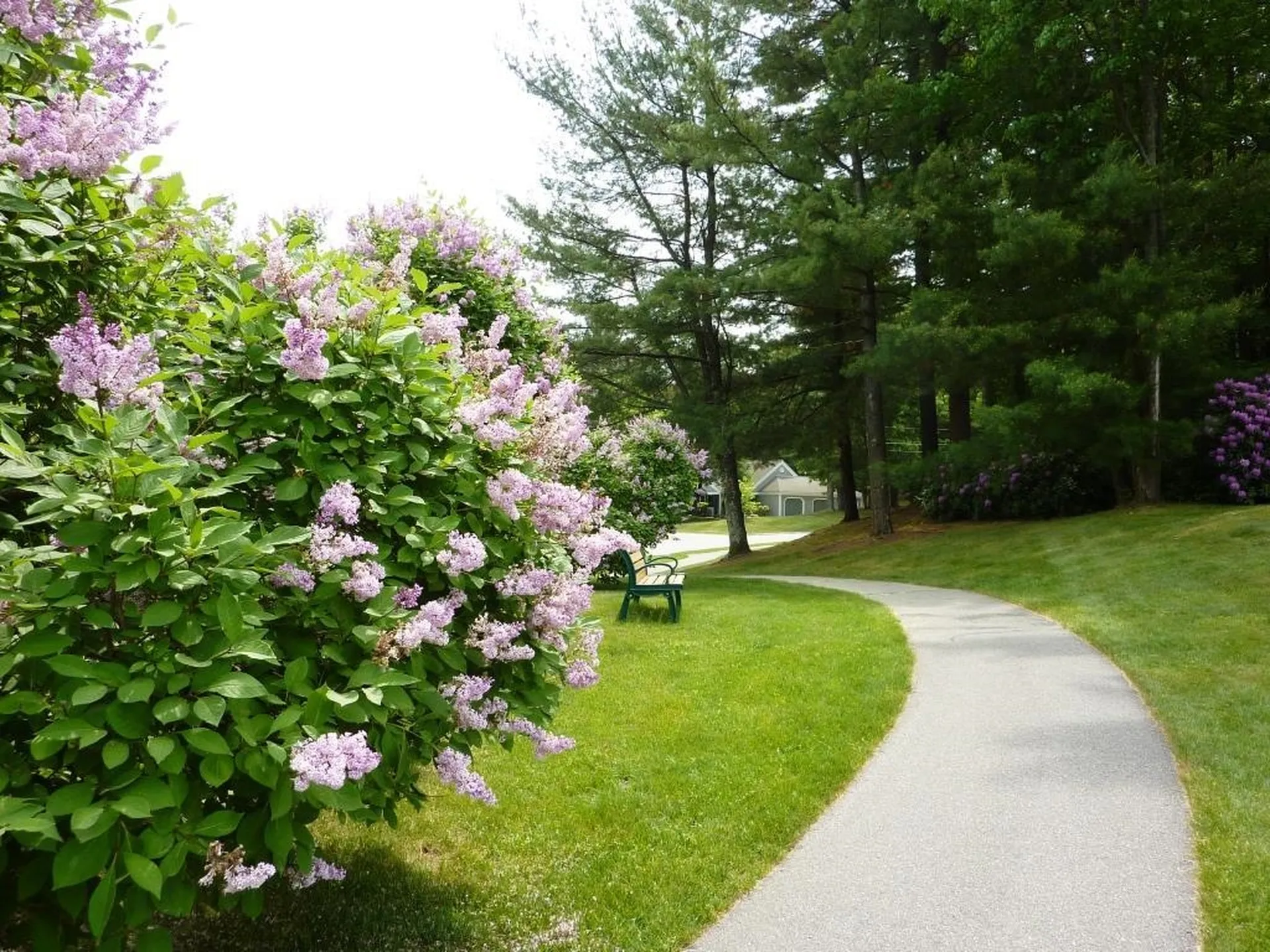 4 Heather Court Nashua NH 03062