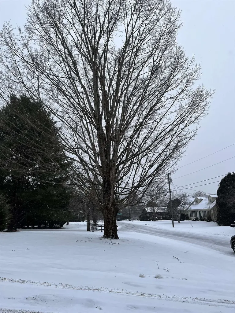 8 Charter Hill Drive Rutland City VT 05701