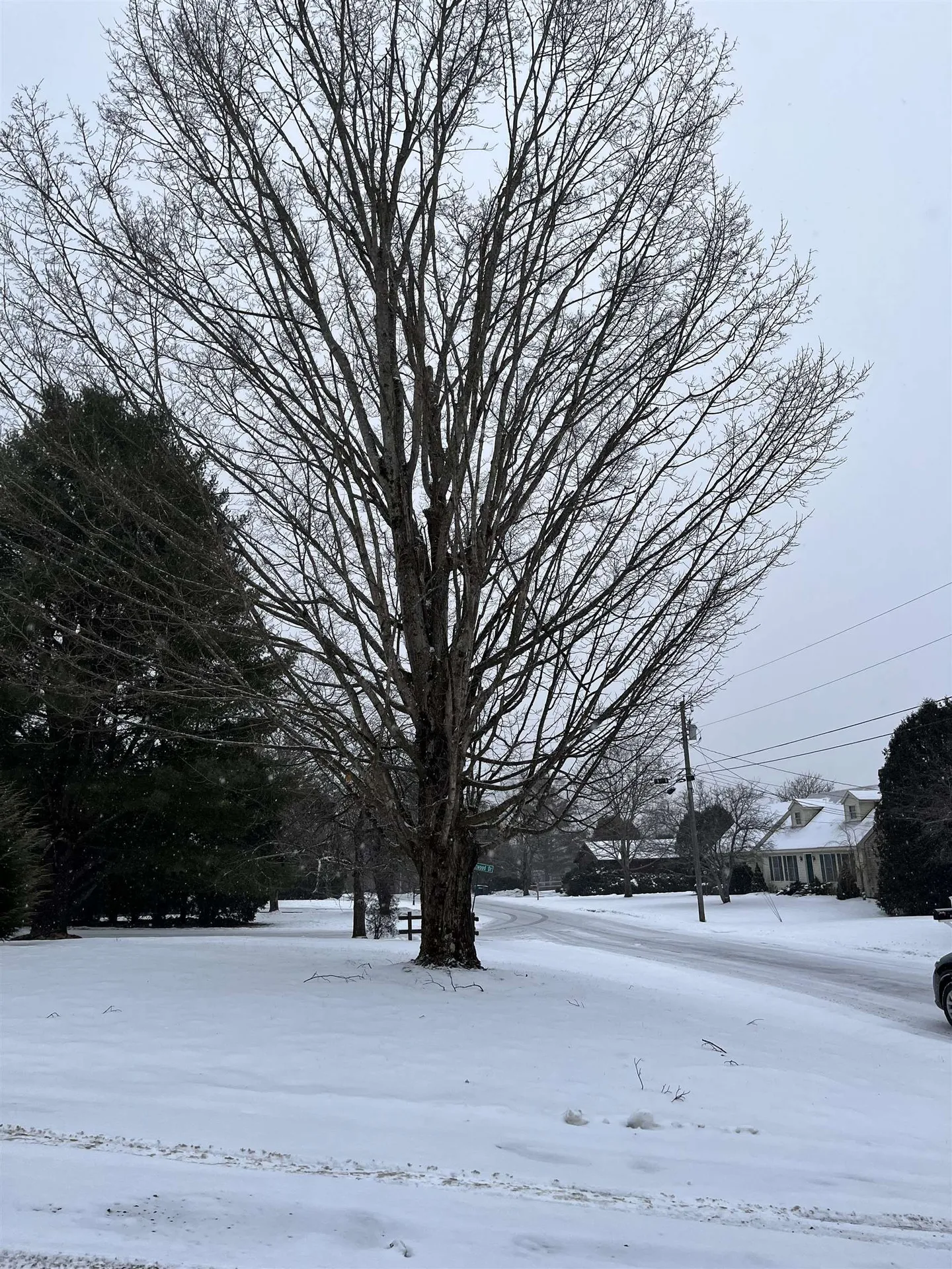 8 Charter Hill Drive Rutland City VT 05701