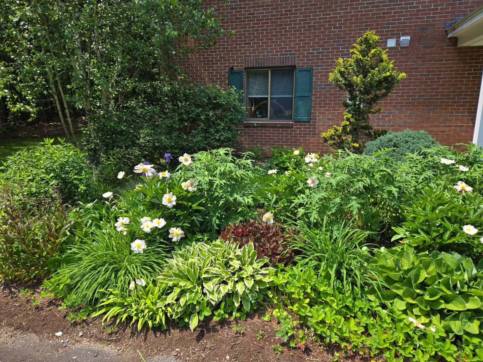 454 Calef Highway Lee NH 03861