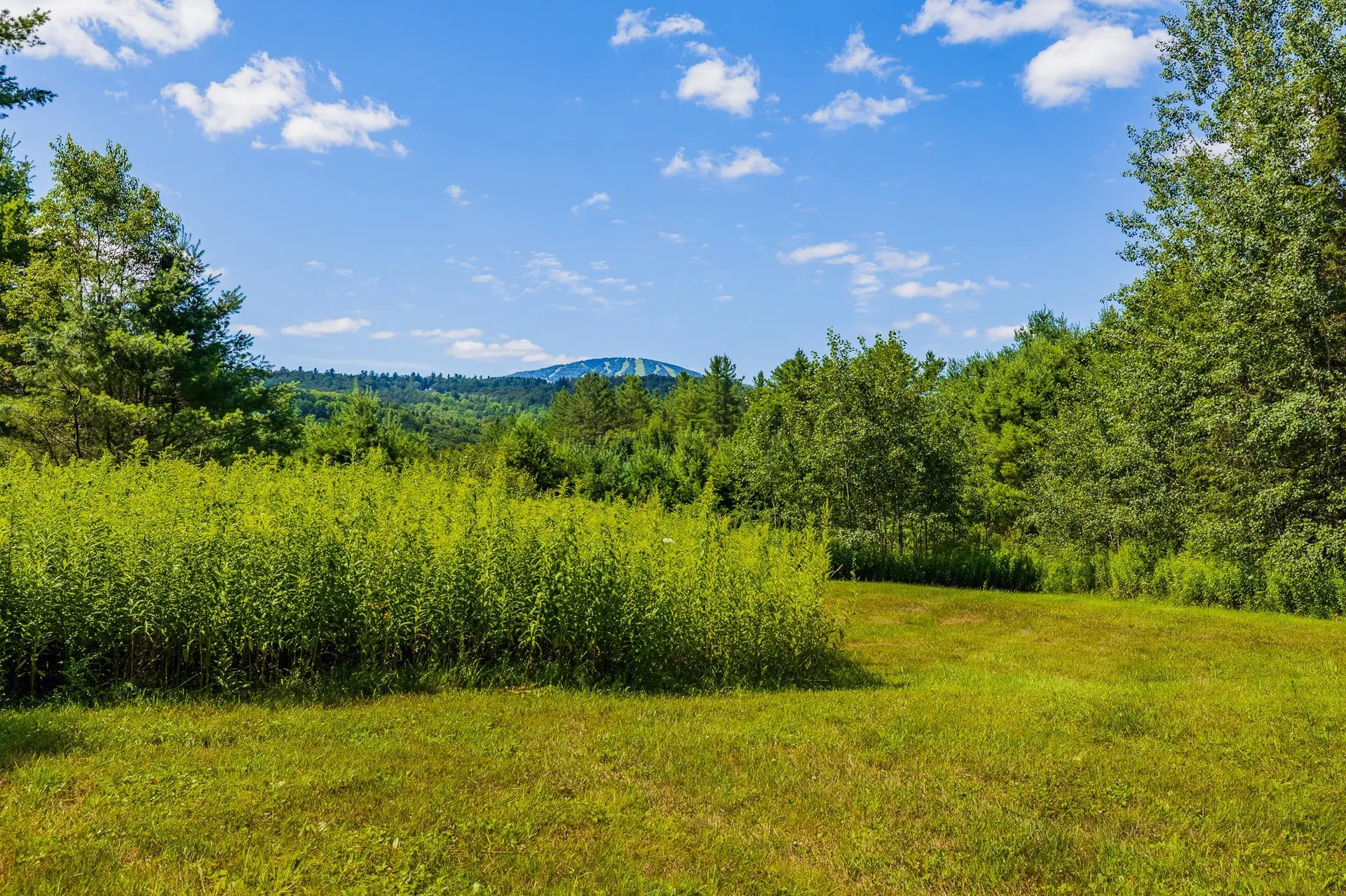 0 Winhall Hollow Road Winhall VT 05340