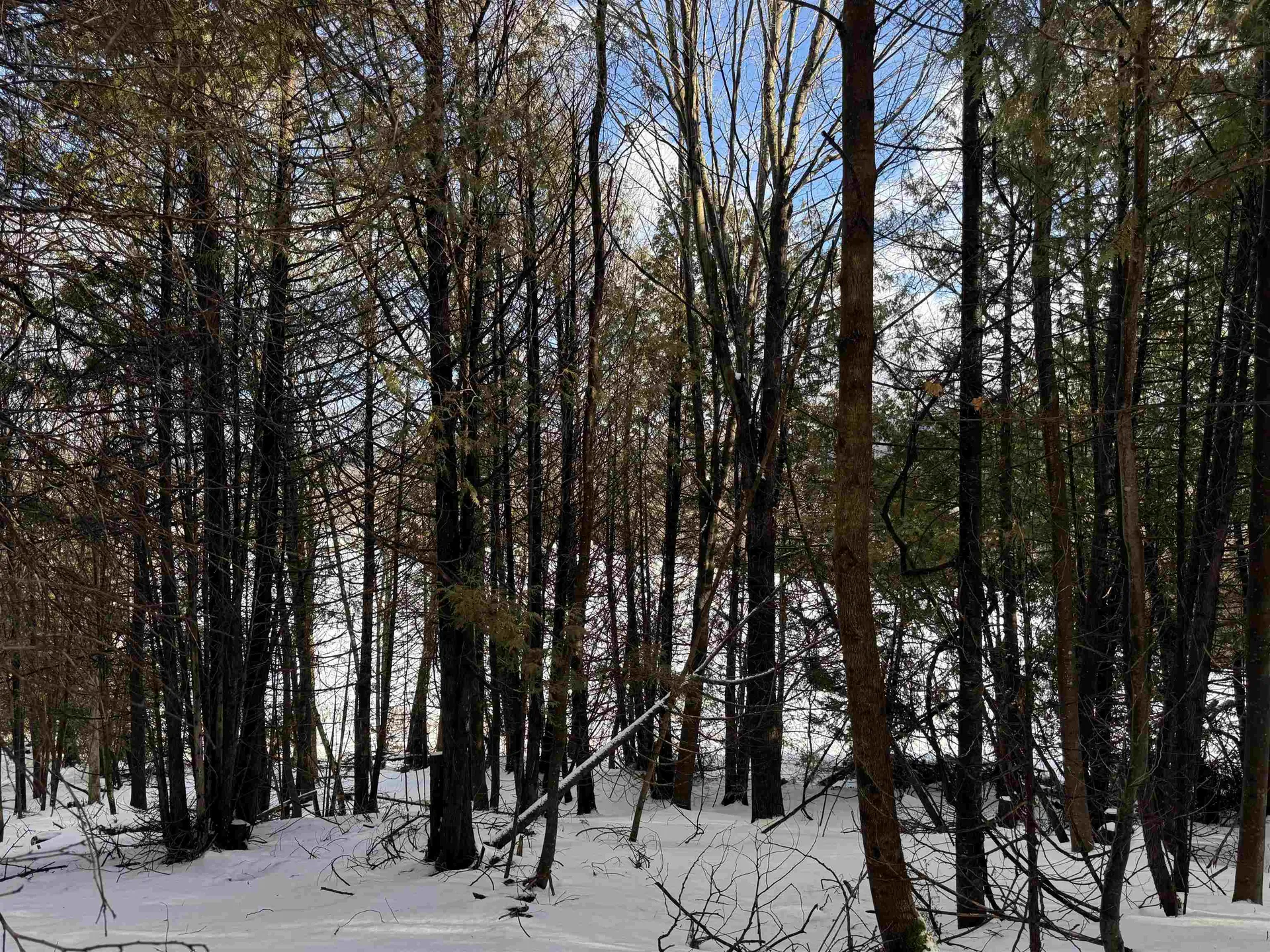 00 River Road Irasburg VT 05845