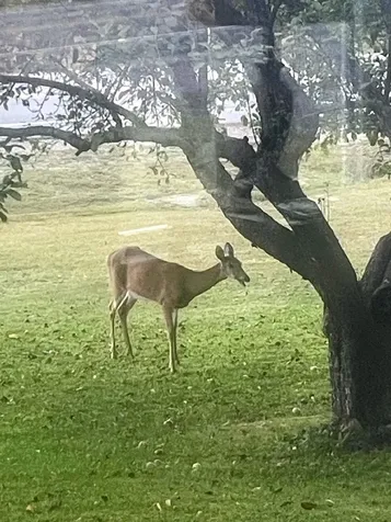 819 Eastside Road Woodstock NH 03262