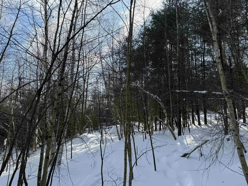 12 Stone Ridge Loop Dover VT 05356