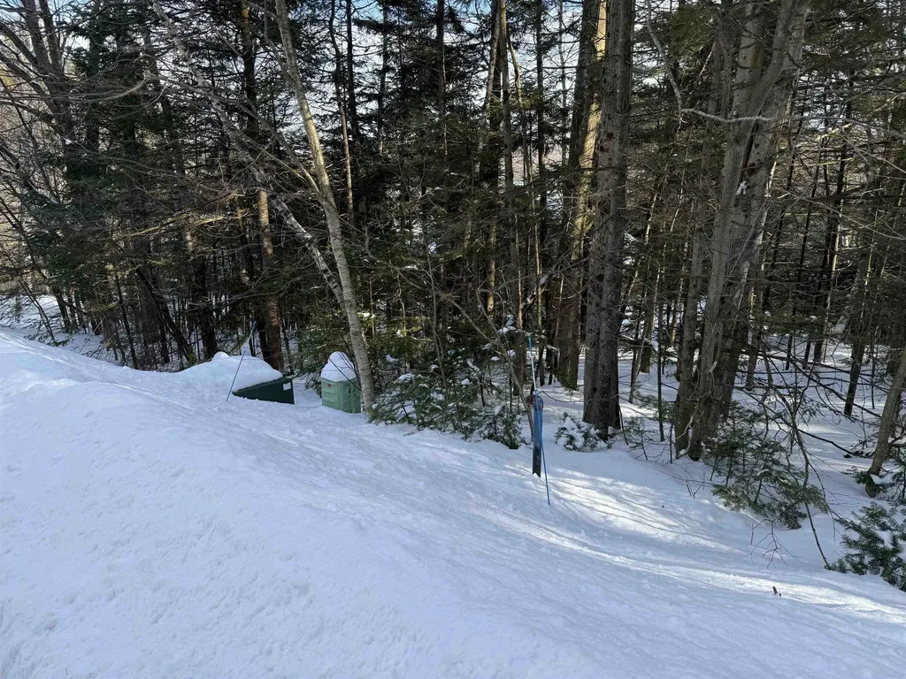 19 Stone Ridge Loop Dover VT 05356