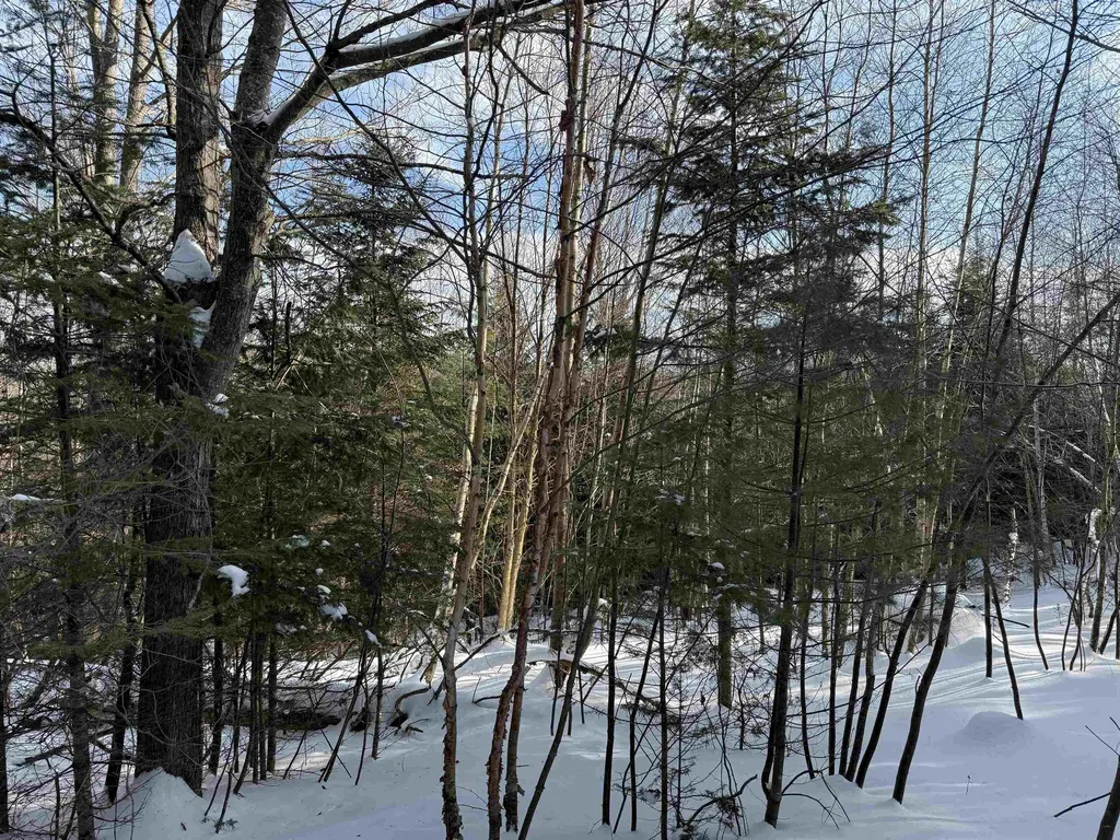 12 Stone Ridge Loop Dover VT 05356