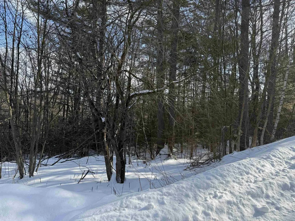 19 Stone Ridge Loop Dover VT 05356