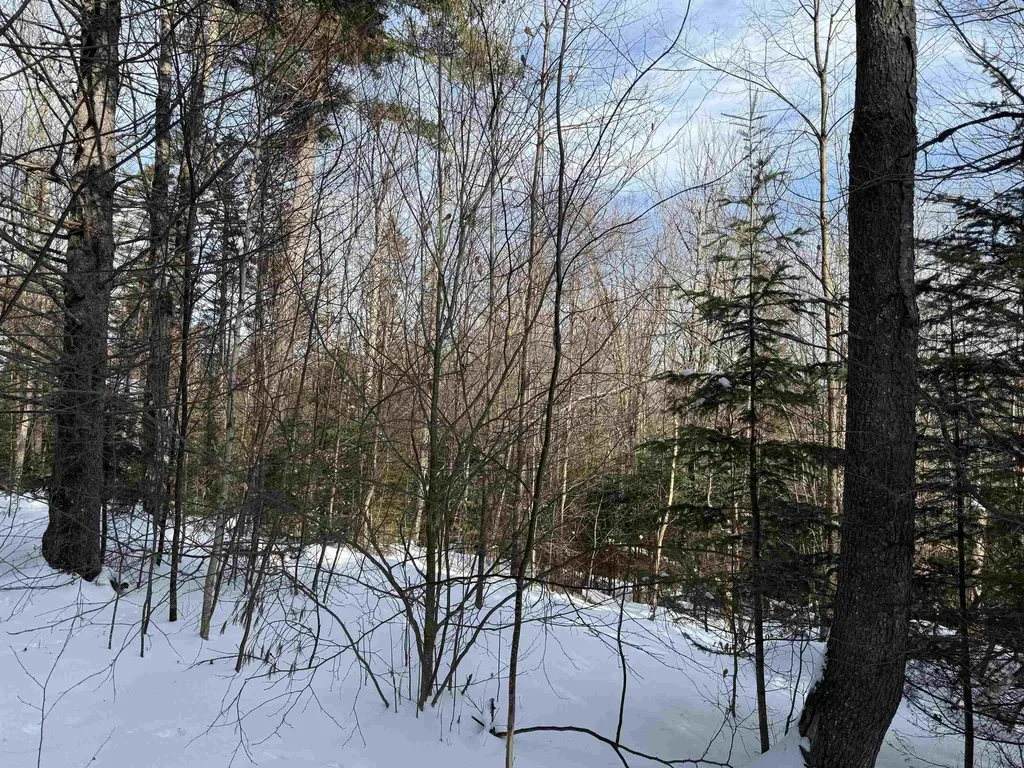 12 Stone Ridge Loop Dover VT 05356