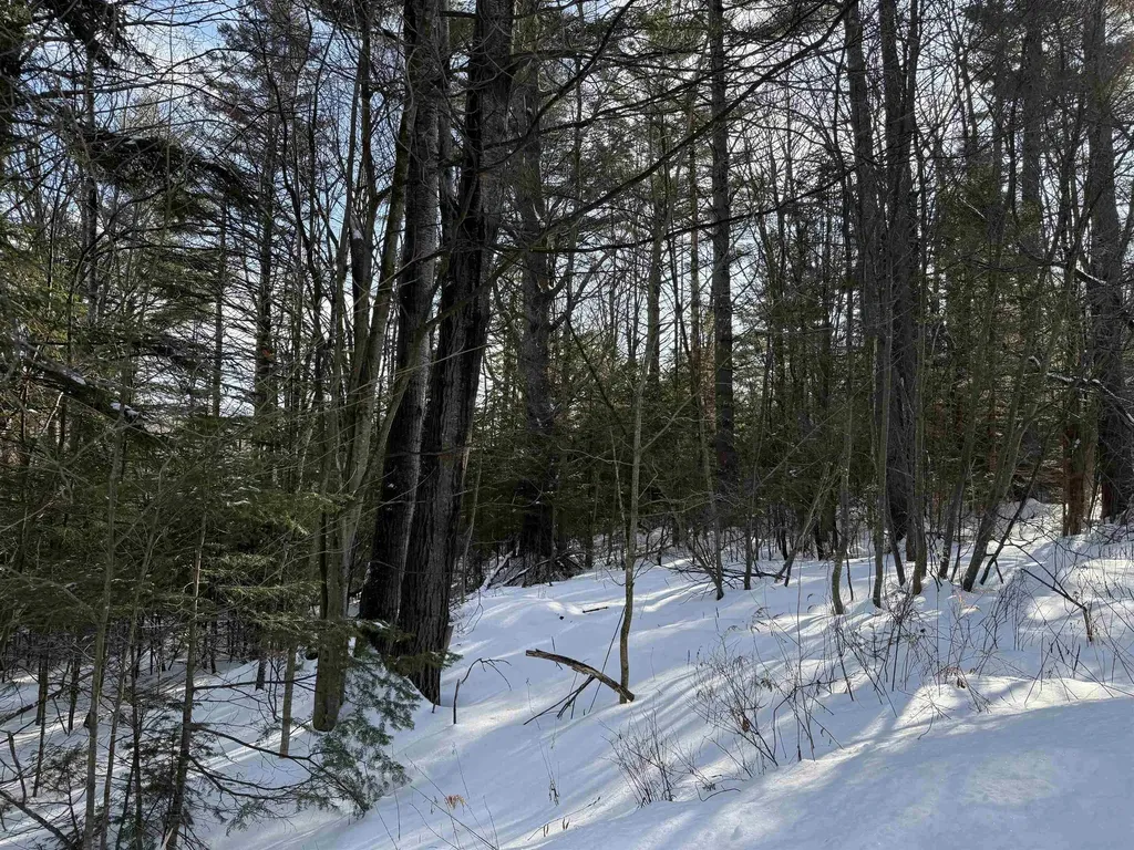 19 Stone Ridge Loop Dover VT 05356