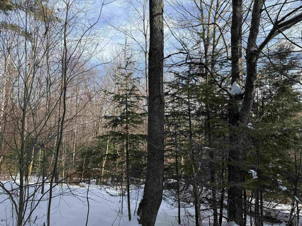 19 Stone Ridge Loop Dover VT 05356