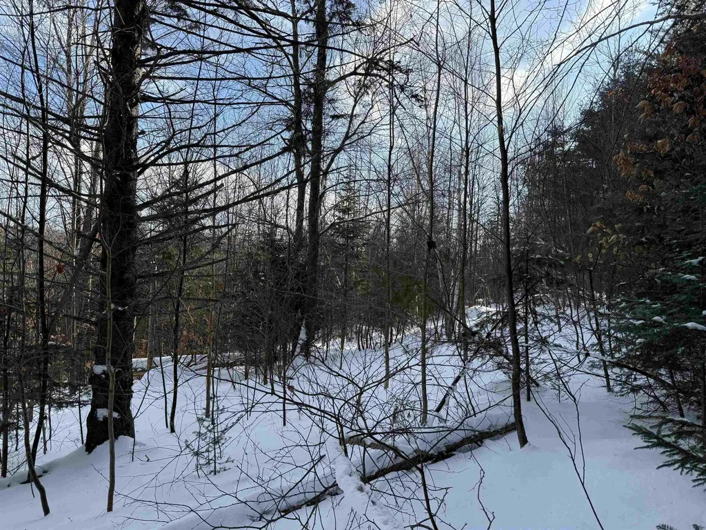 19 Stone Ridge Loop Dover VT 05356