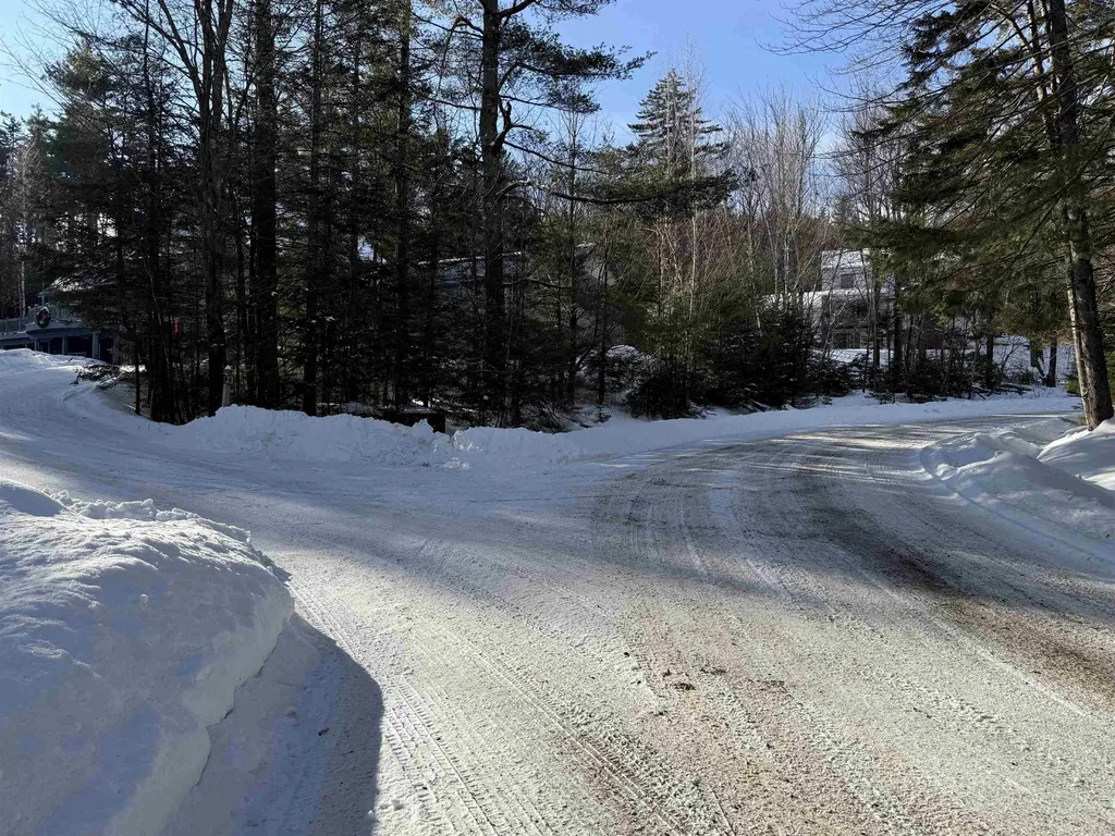 19 Stone Ridge Loop Dover VT 05356