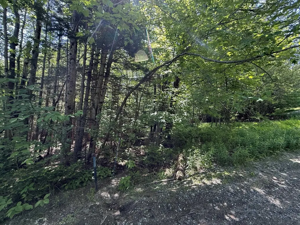 19 Stone Ridge Loop Dover VT 05356