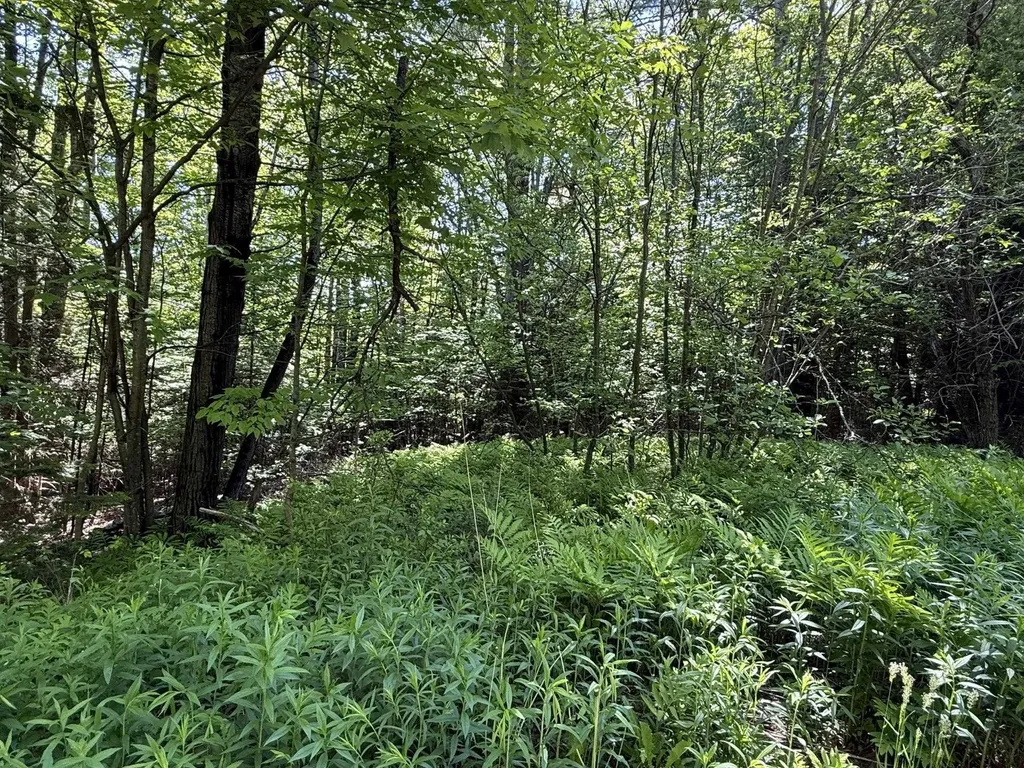 19 Stone Ridge Loop Dover VT 05356