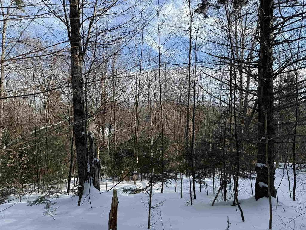 12 Stone Ridge Loop Dover VT 05356