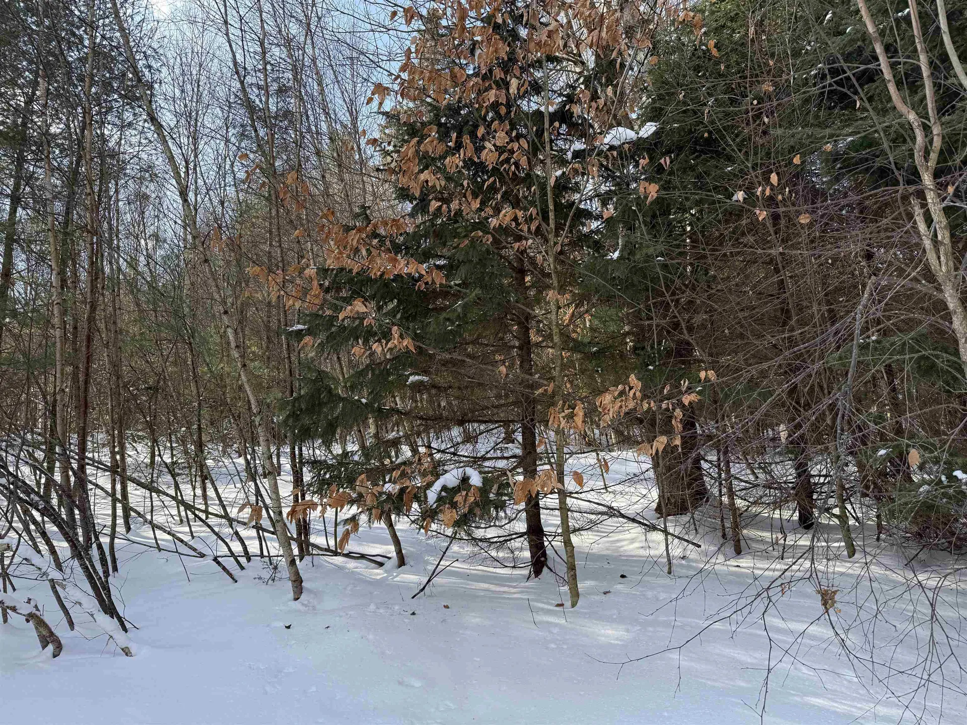 12 Stone Ridge Loop Dover VT 05356