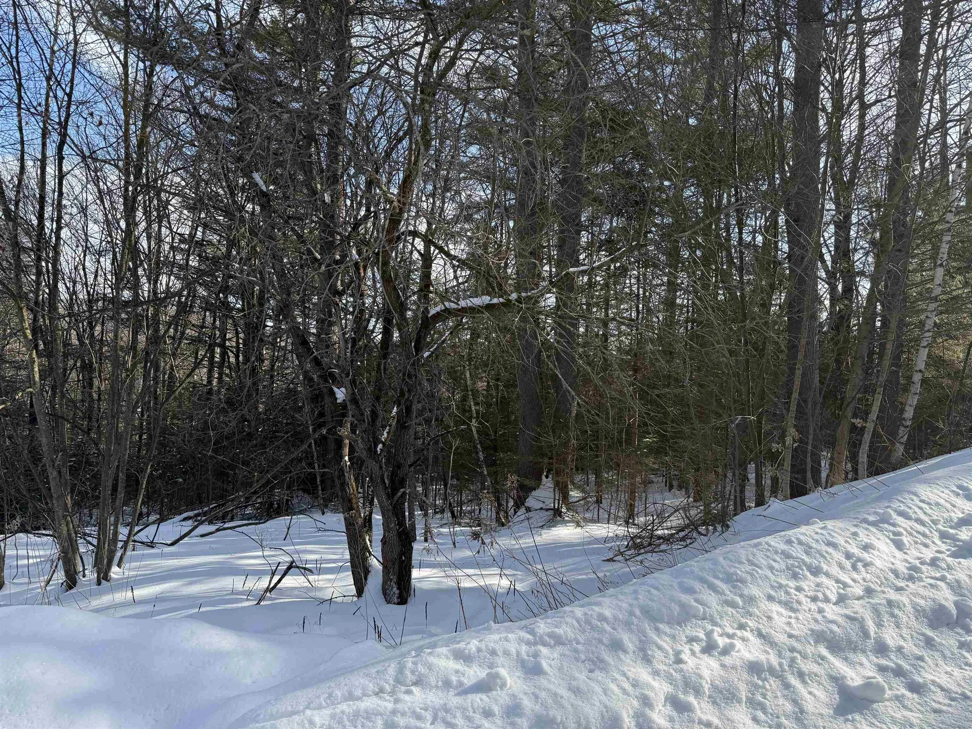 19 Stone Ridge Loop Dover VT 05356