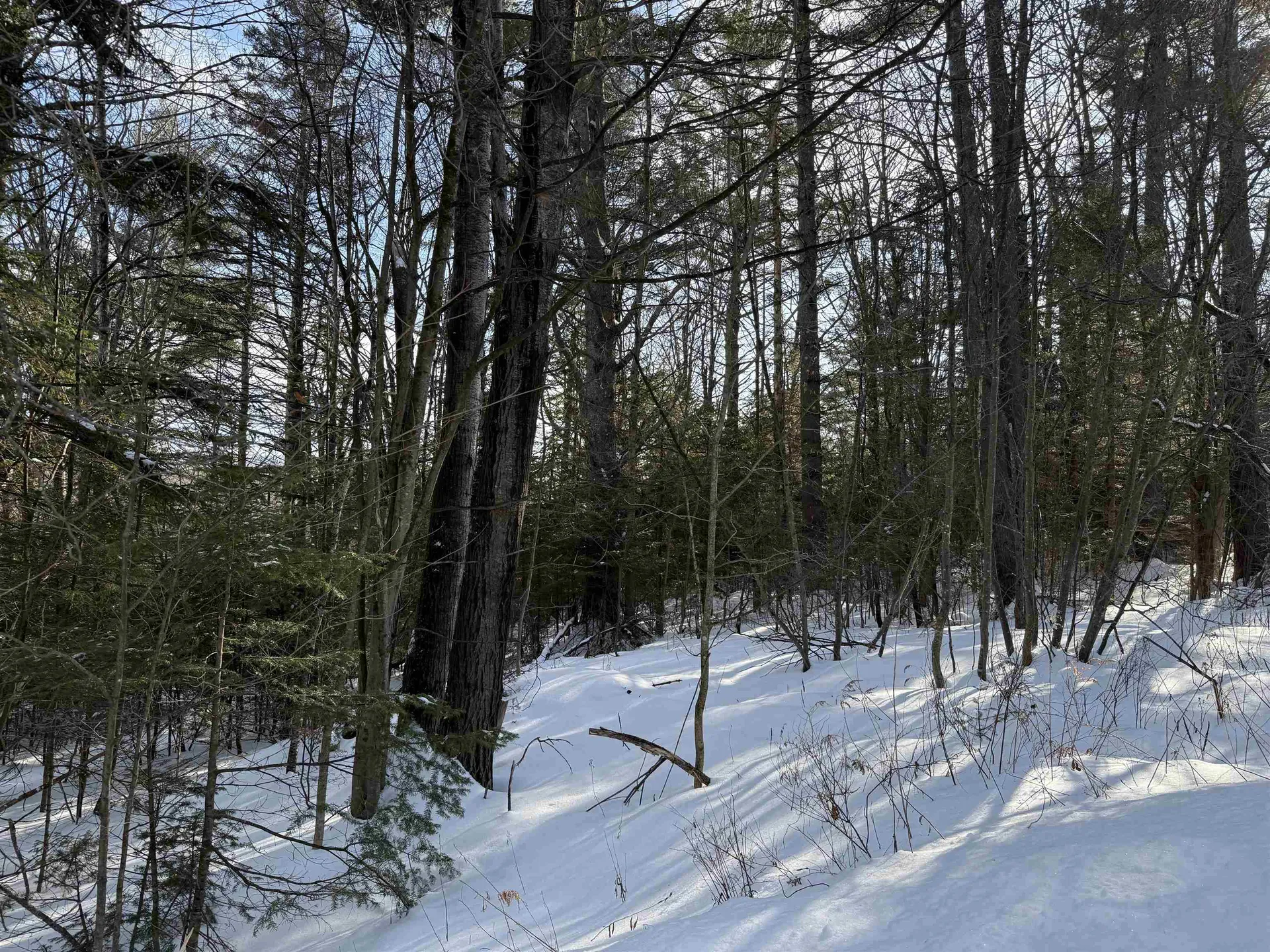 19 Stone Ridge Loop Dover VT 05356