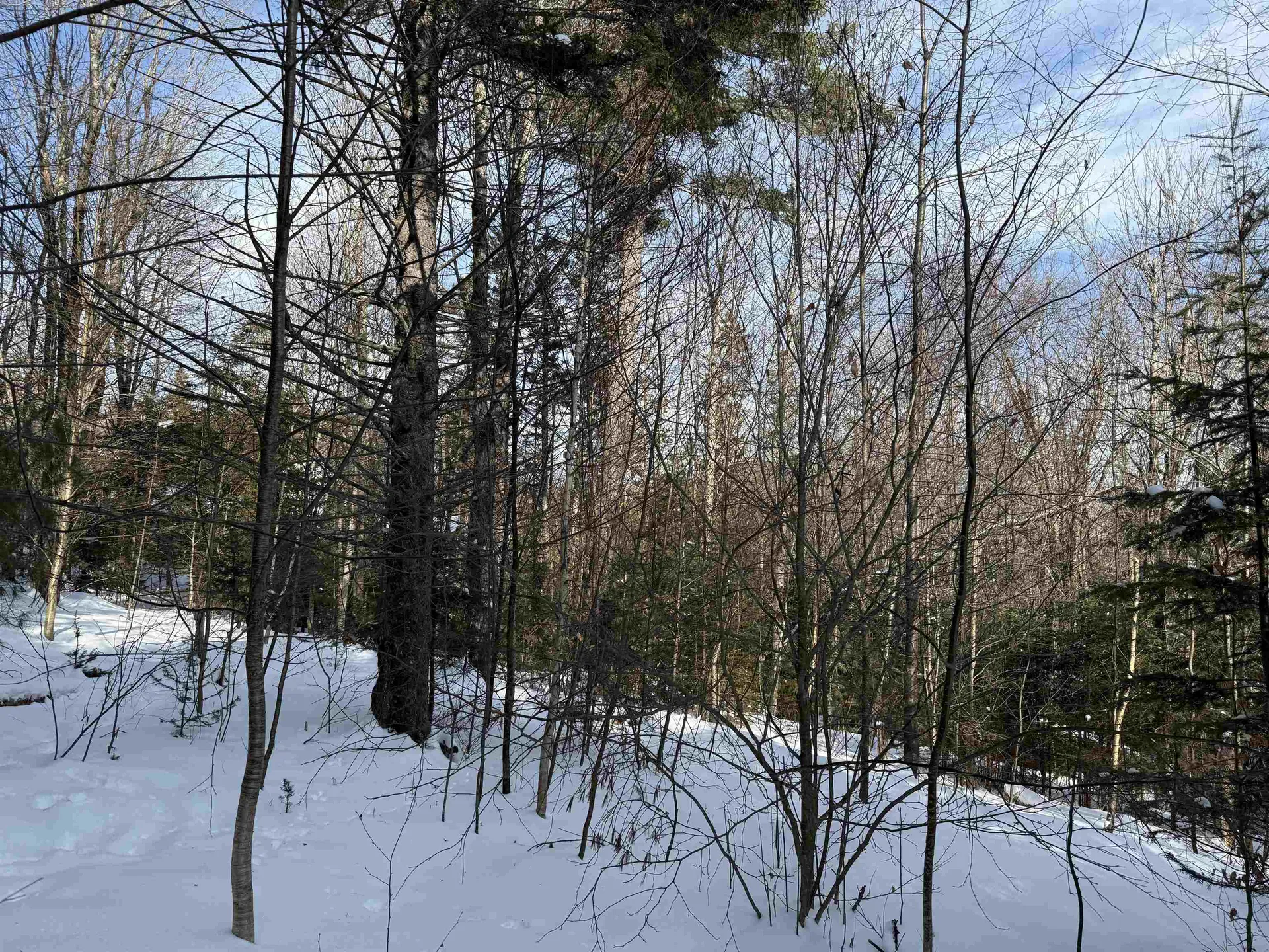 12 Stone Ridge Loop Dover VT 05356